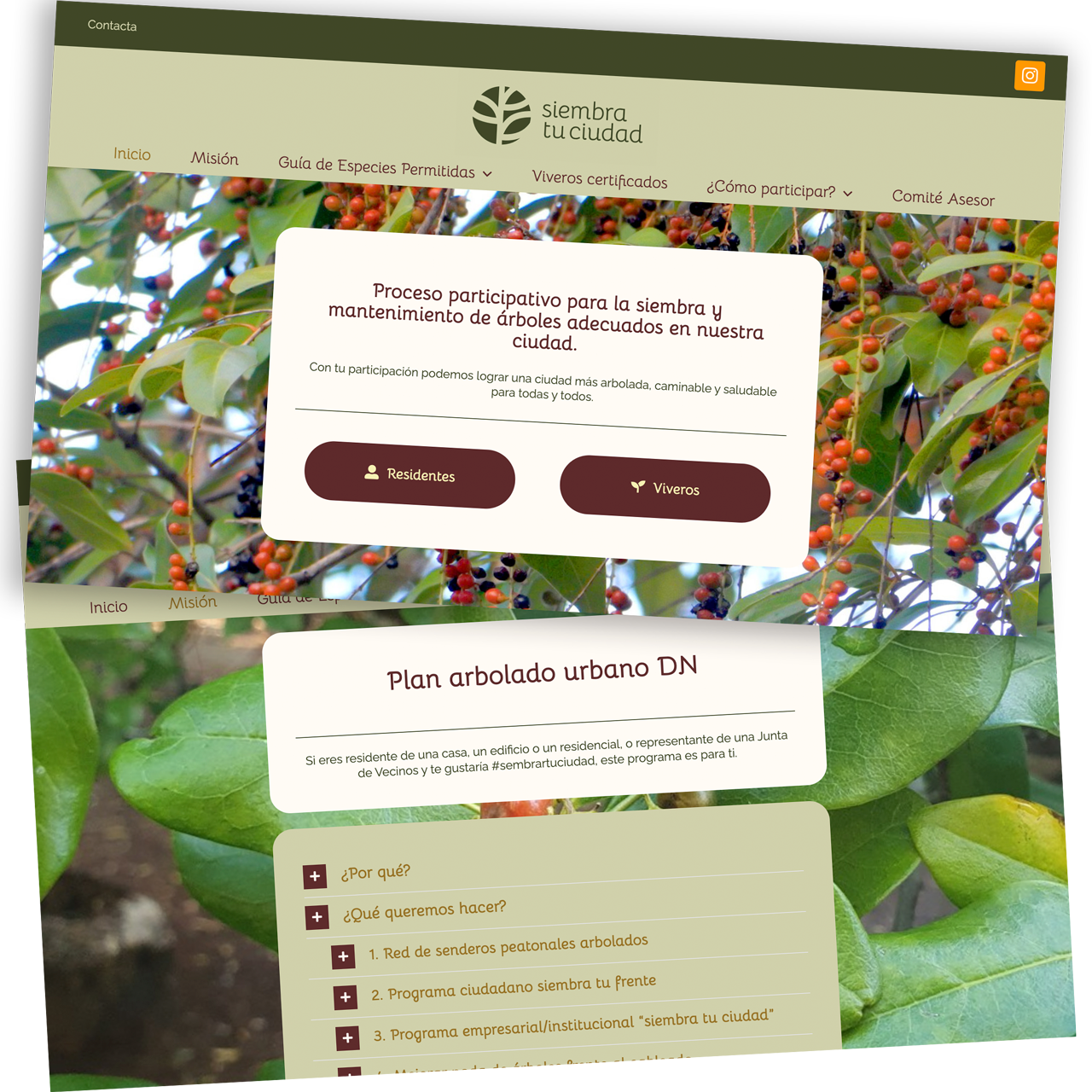 Web design with Wordpress for Republica Dominicada 2020